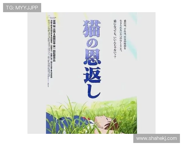 《猫的报恩》：不止是童话，更是我们内心深处渴望的温柔回响